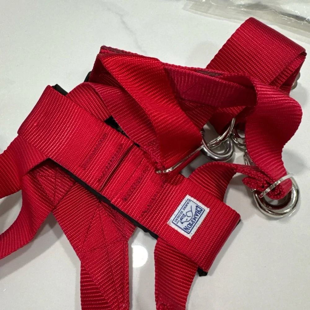Champion Canine Seat Belt System - red